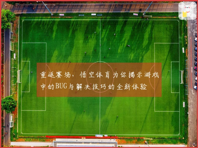 重返赛场，悟空体育为你揭示游戏中的BUG与解决技巧的全新体验