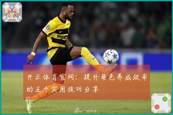 开云体育官网：提升角色养成效率的五个实用技巧分享