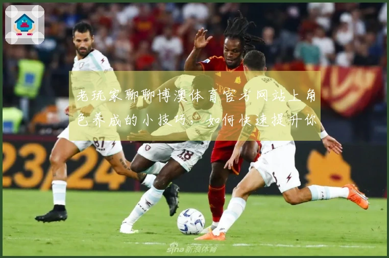 老玩家聊聊博澳体育官方网站上角色养成的小技巧，如何快速提升你的角色实力